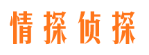 崇明侦探公司